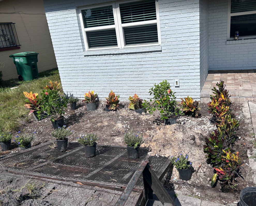 Black Mulch and New Plants