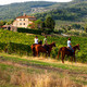 Organic Lifestyle in Tuscany