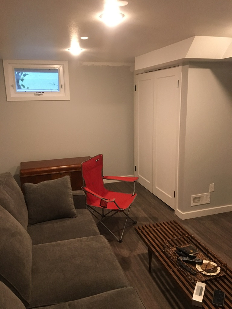 West Seattle Basement Buildout