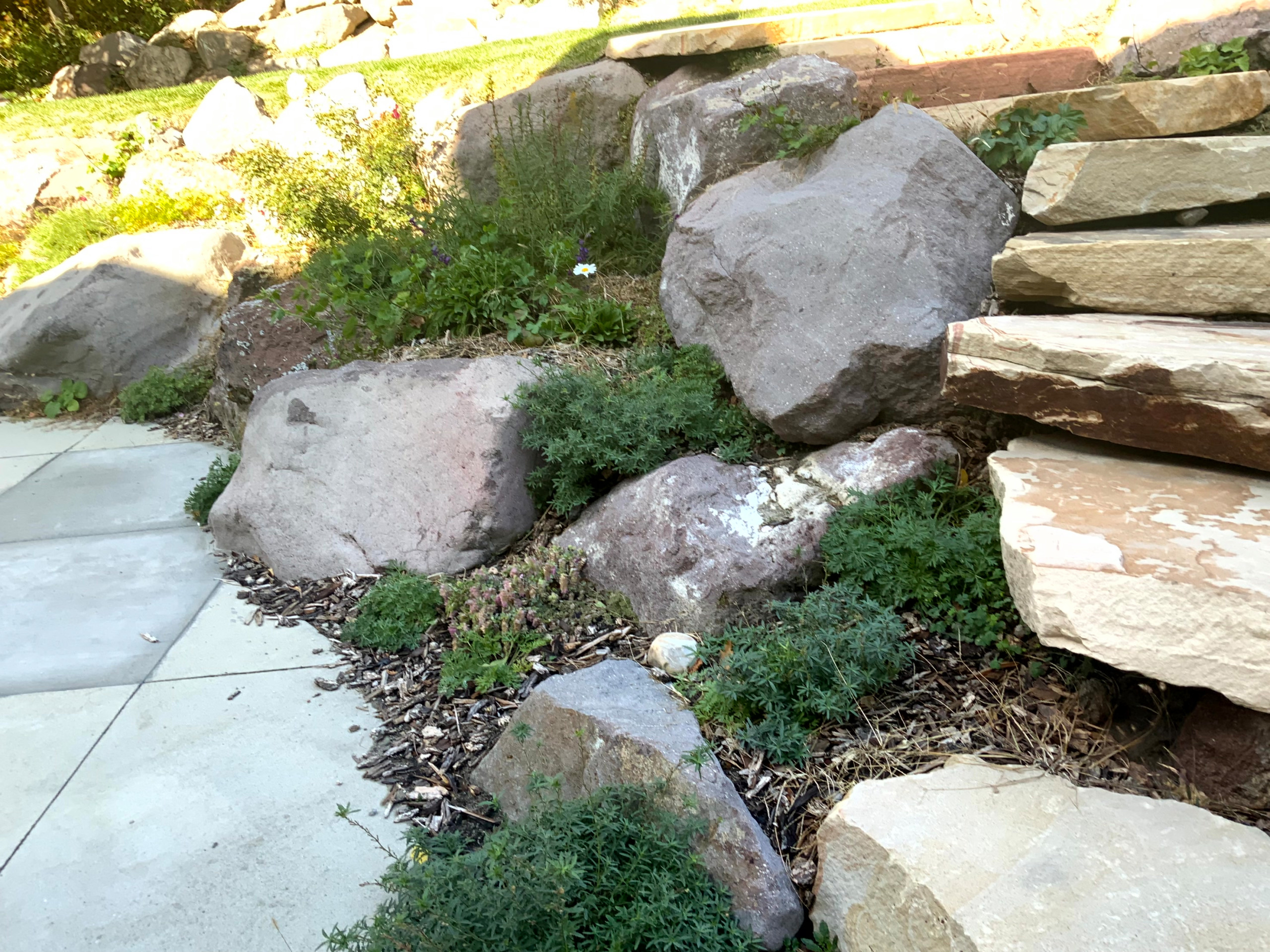 Mountain Meadow Garden