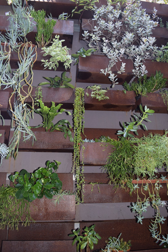 Inspiration for a contemporary garden in Perth.