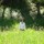 Heather Musselman's profile image