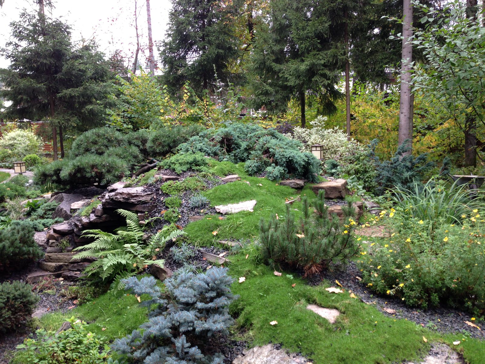 Успенское шоссе РИИТА