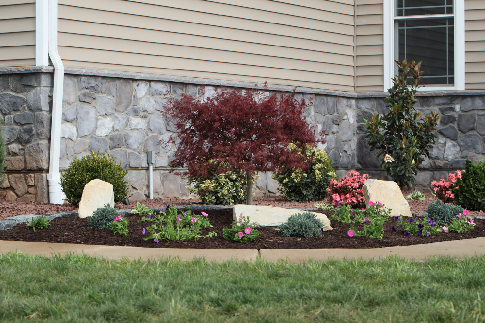 This is an example of a medium sized modern front garden in Philadelphia.