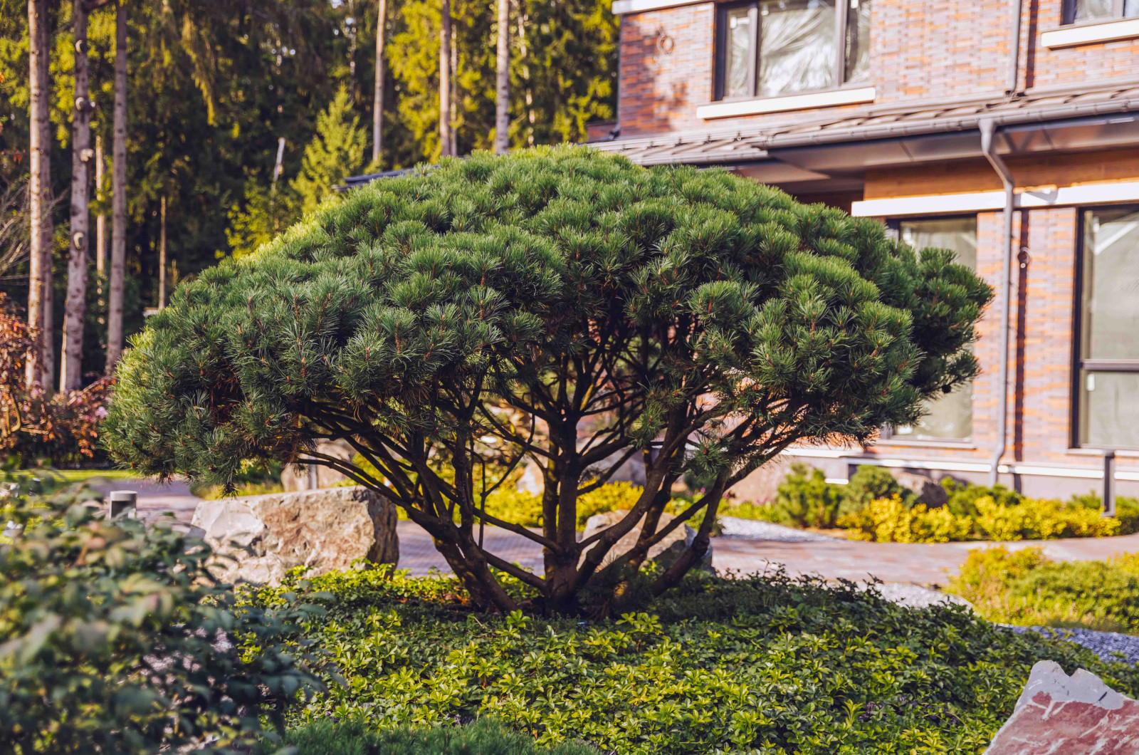 Архитектурное Решение в Пейзажном Стиле