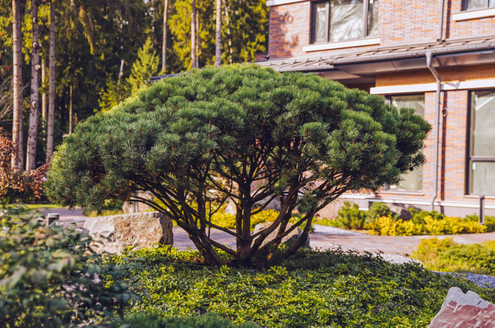 Архитектурное Решение в Пейзажном Стиле