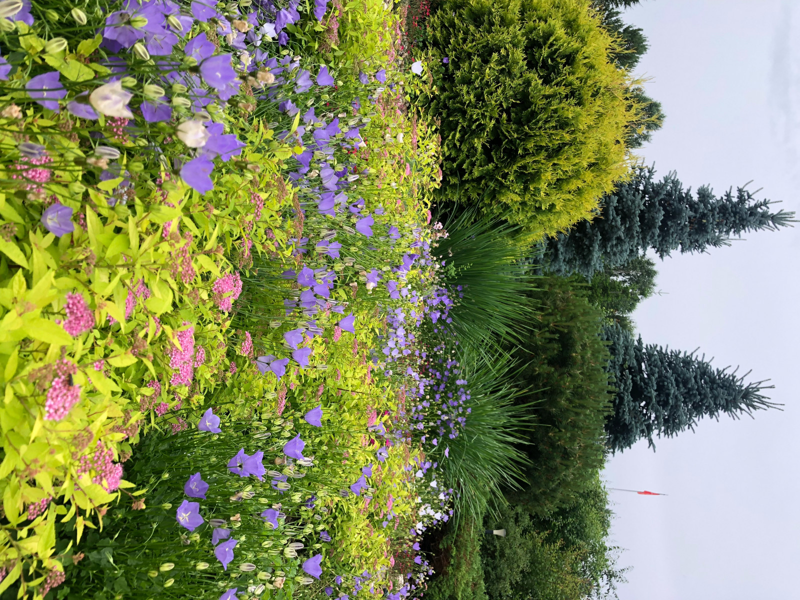 Реализованные проекты