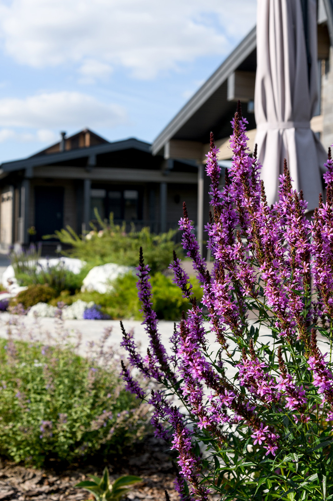 Морской берег