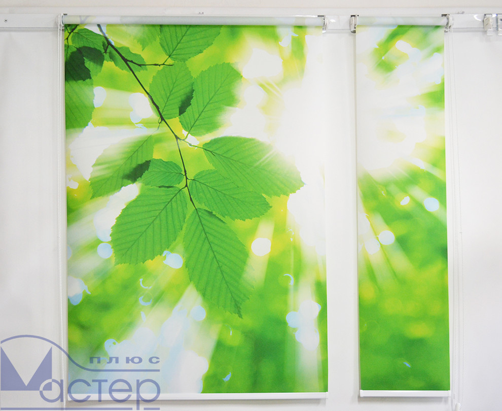 Рулонные шторы с фотопечатью