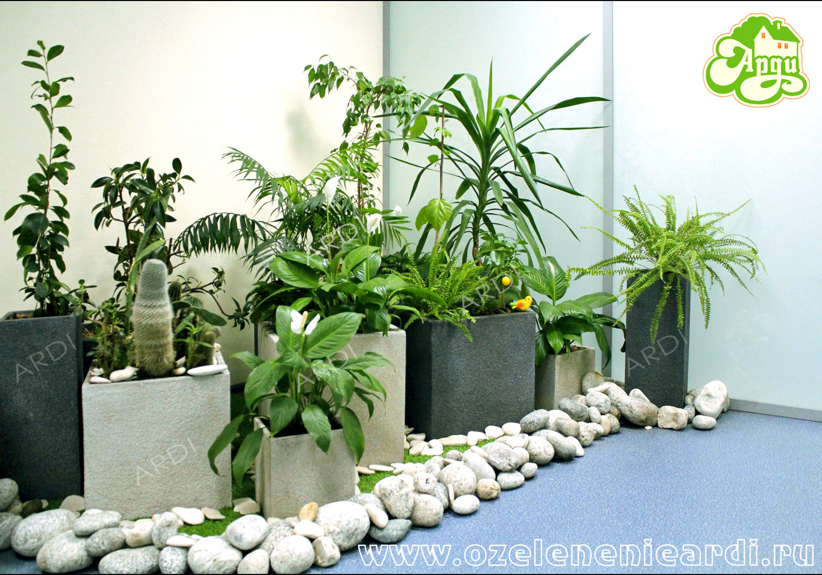 Частная клиника