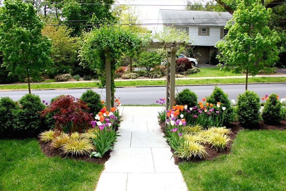 Photo of a traditional front yard garden in Philadelphia with a garden path.