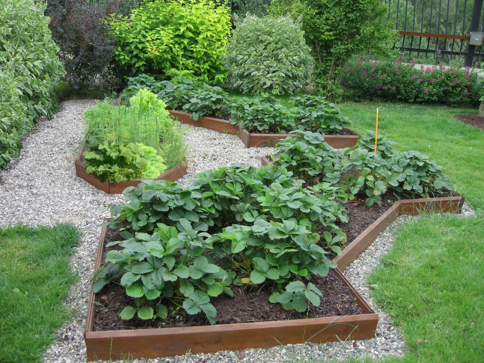 Декоративный огород