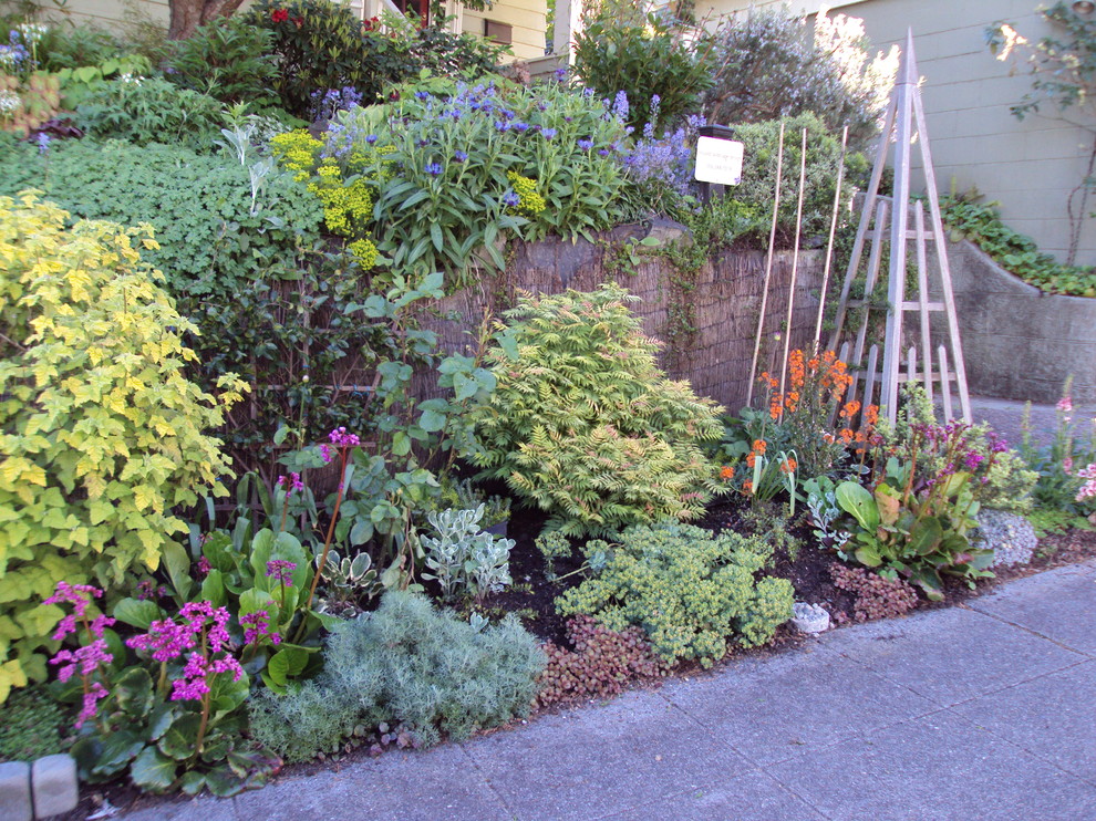 Photo of an eclectic garden in Seattle.