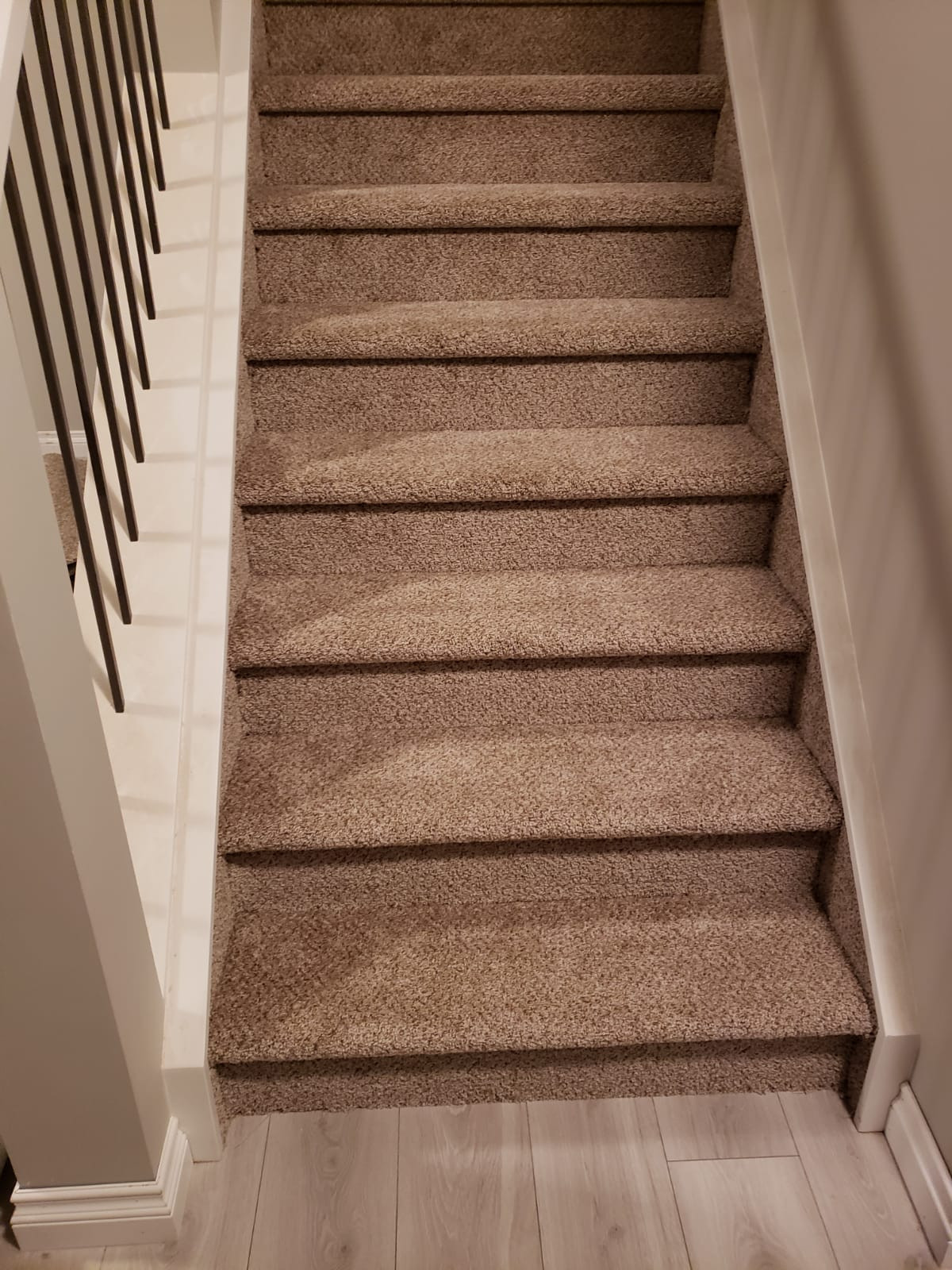 Carpet