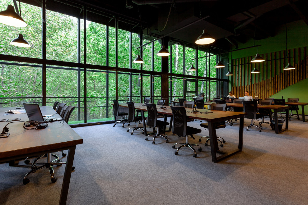 ЭКОСОКОЛЬНИКИ Коворкинг в лесу