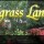 American Bluegrass Landscaping Inc