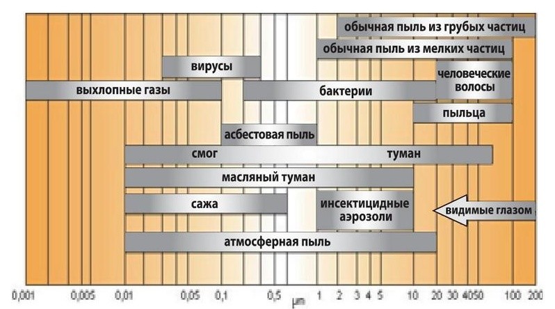 Как сделать воздух в квартире чище: 7 работающих методов