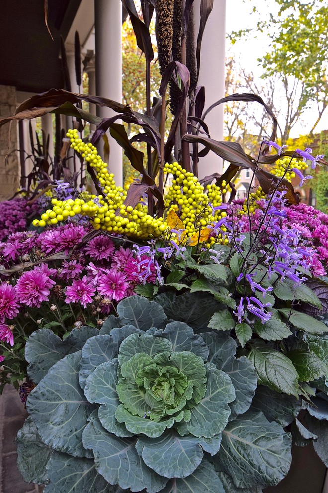 Inspiration for a mid-sized transitional full sun backyard stone landscaping in Chicago for fall.