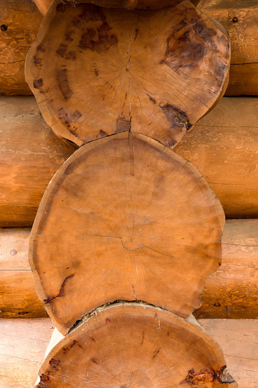 Баня из сруба