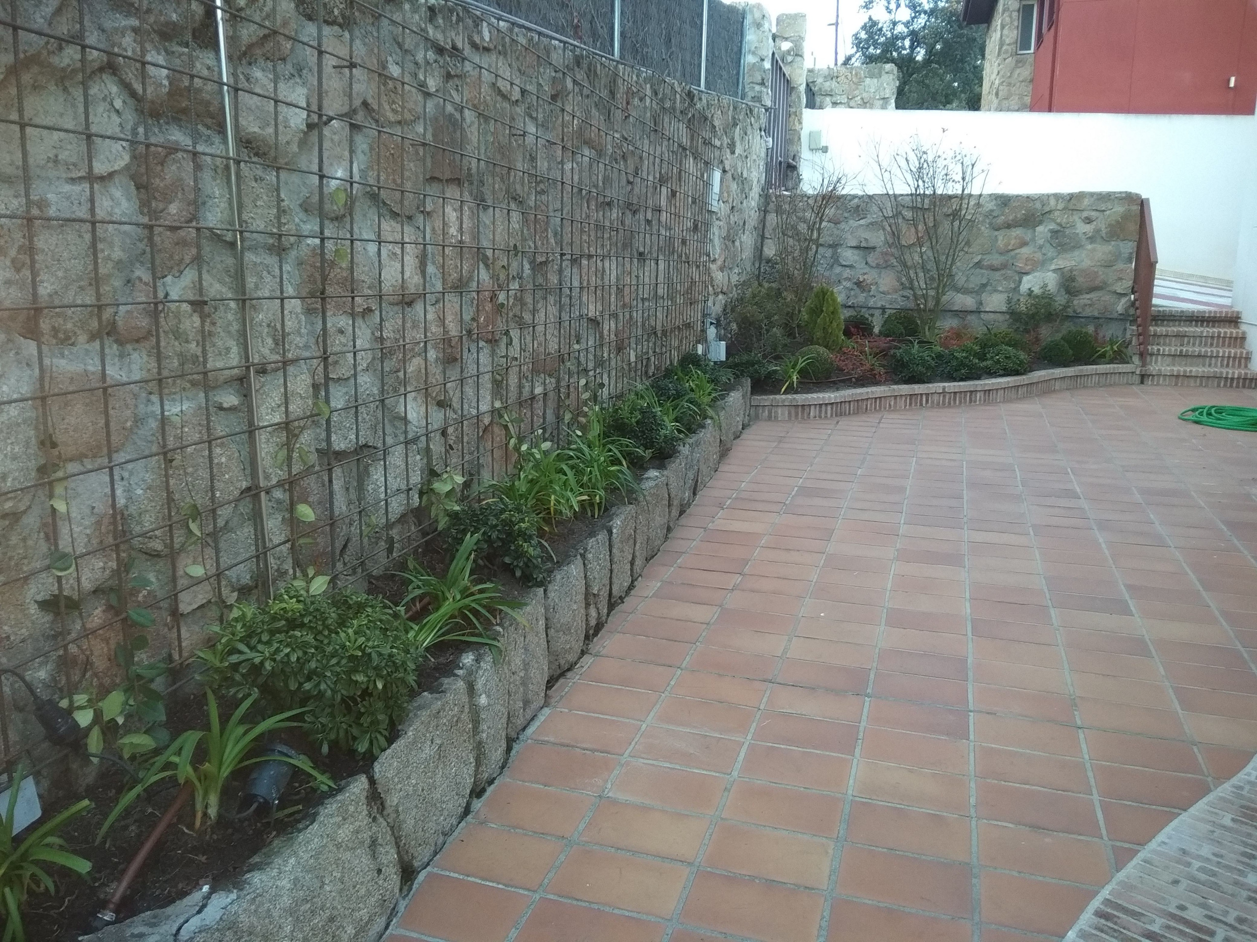 Dando color a viejos jardines