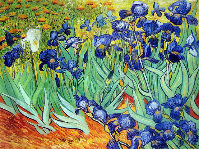 Irises modern-paintings