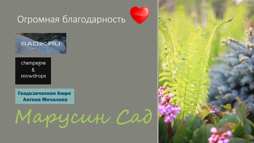 Книга " Садовые сюжеты"