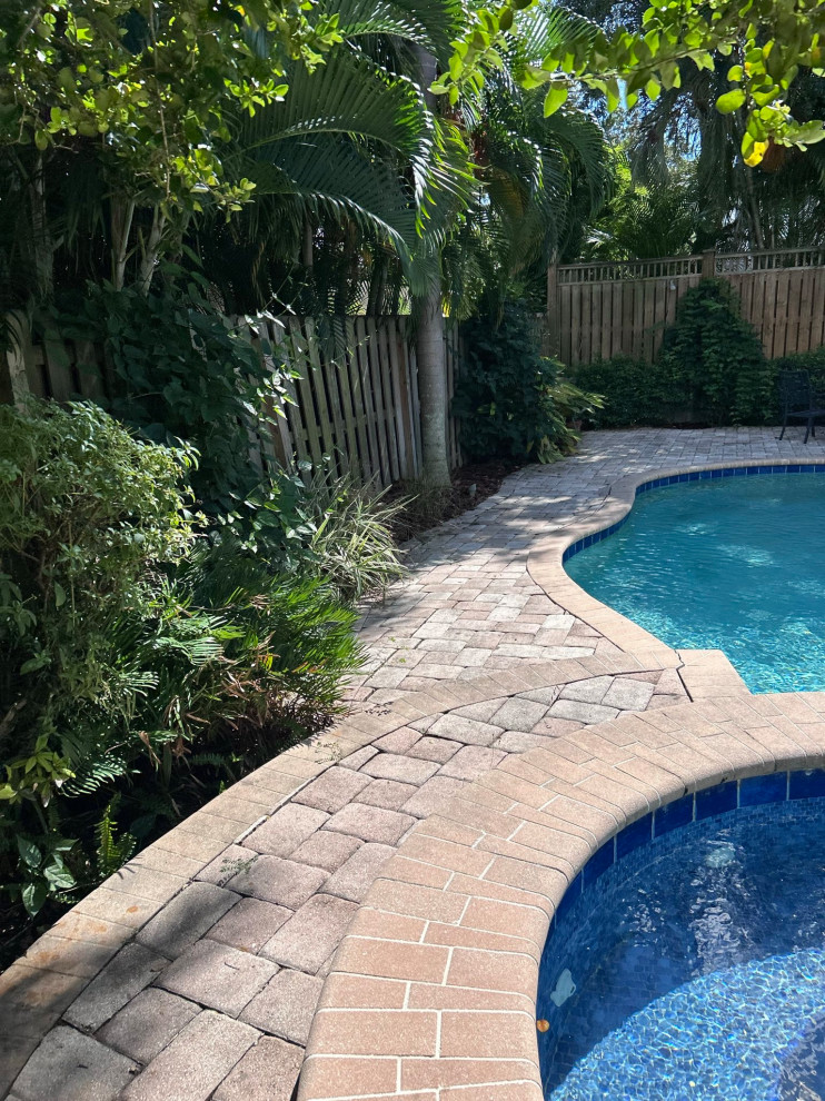 Front and Back Yard Landscape Renovation