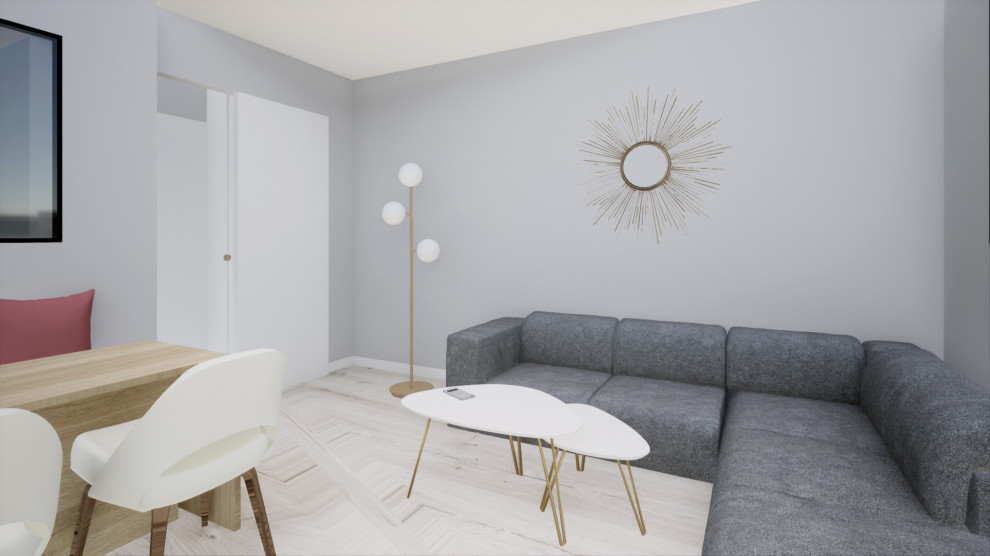 Aménagement d'un studio en 2 pièces / Projet en cours
