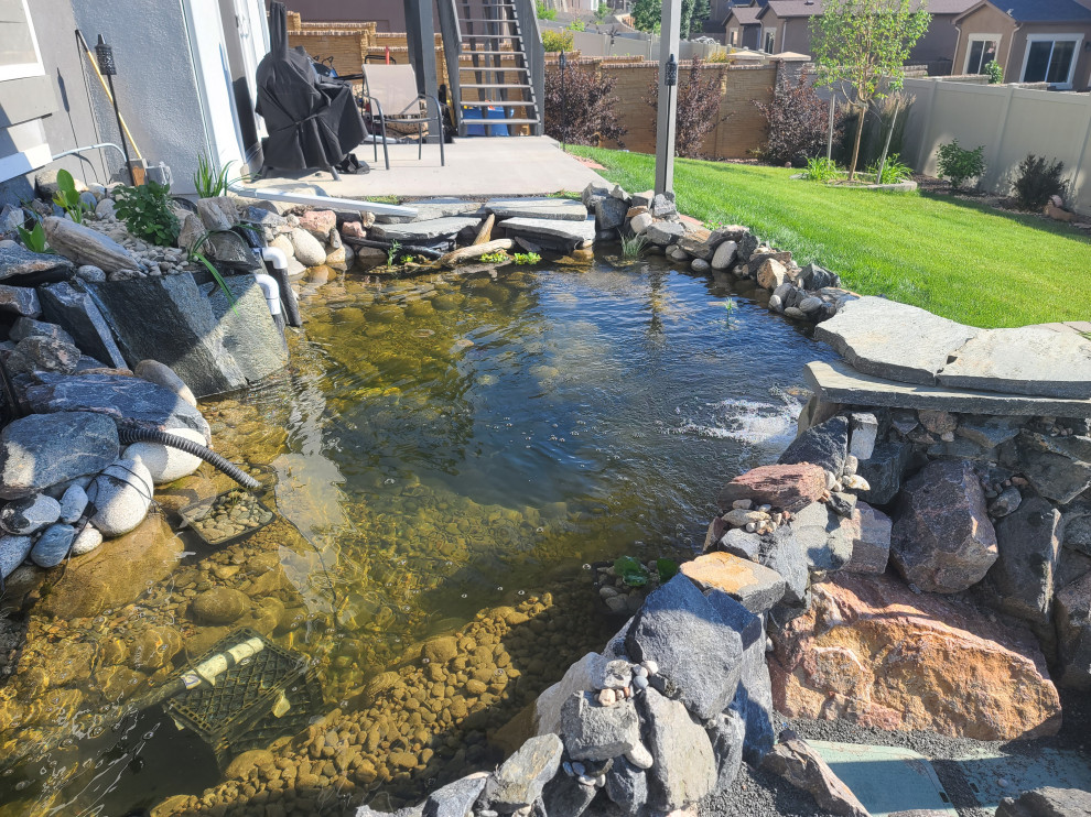 Custom✨ Koi Pond