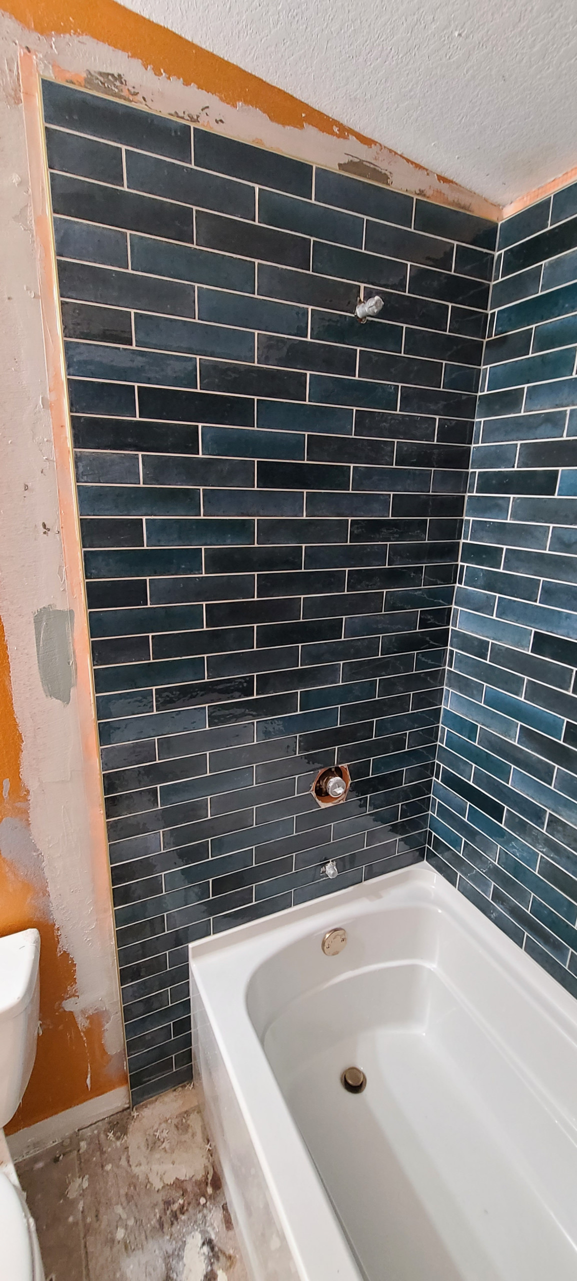 Shower Remodel