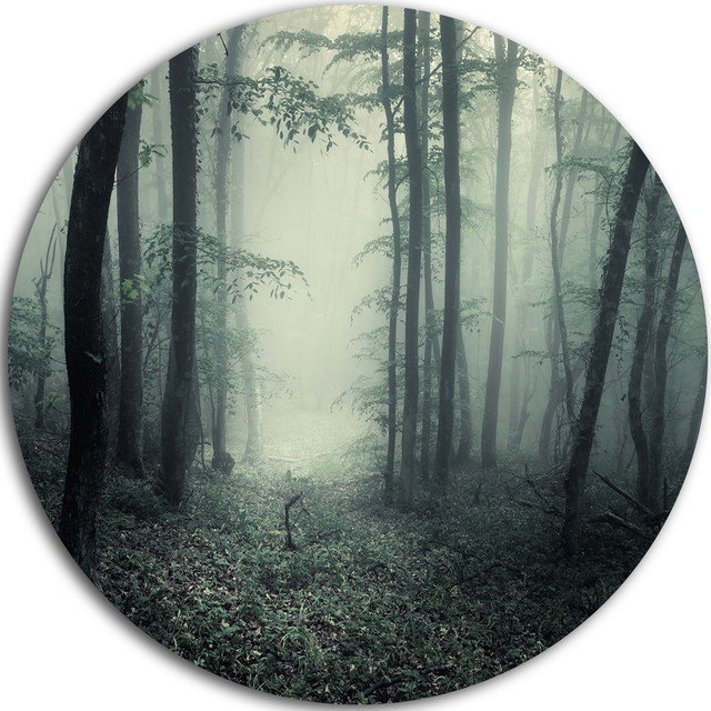 Trail Through Dark Forest, Landscape Photo Disc Metal Wall Art, Disc of ...