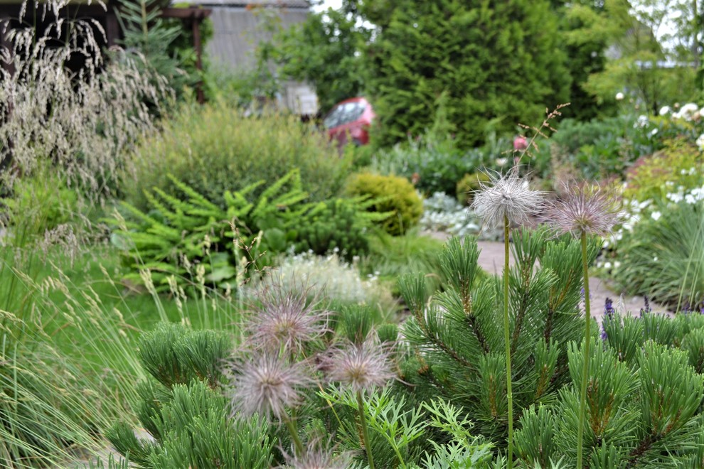 Сады выпускников. "Уголок моей радости", сад Екатерины БАРСОВОЙ.