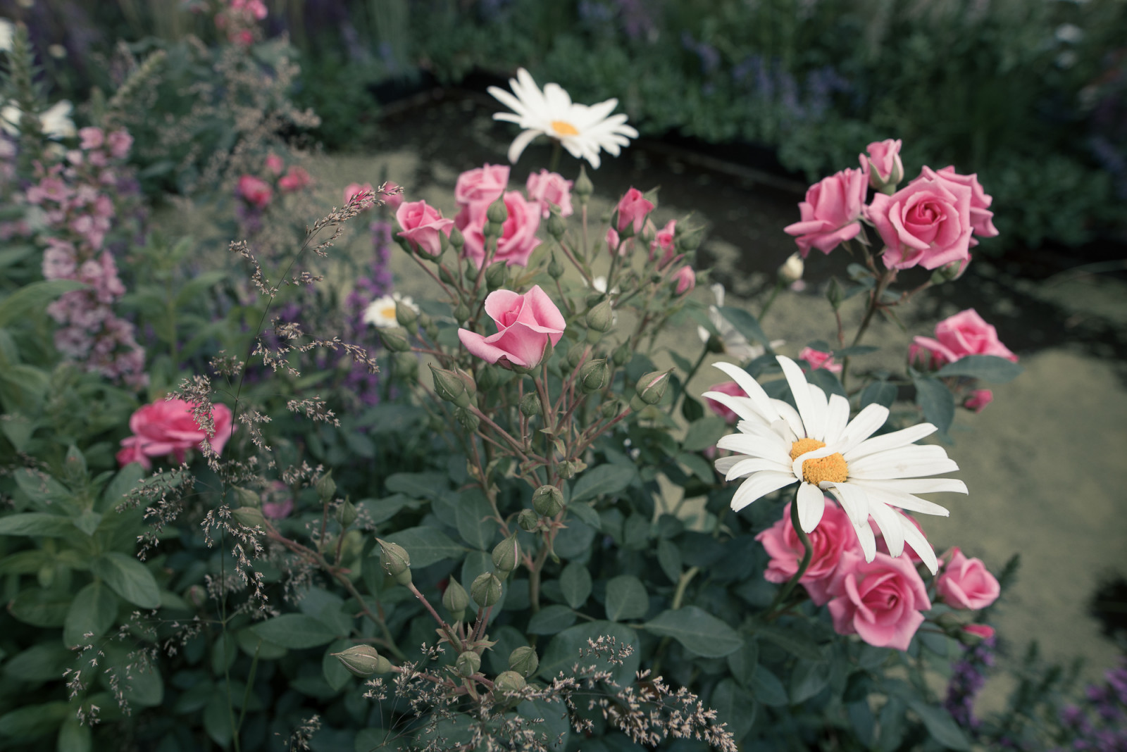 Grain de Perle (Зерно Жемчужины)