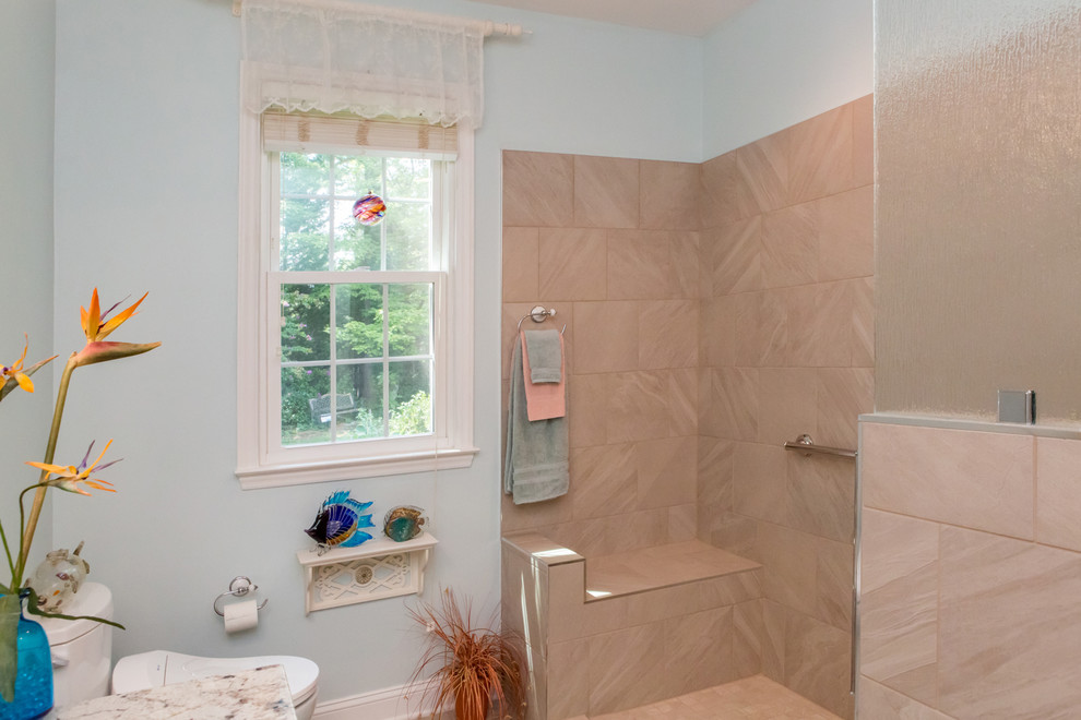 Bathroom - transitional bathroom idea