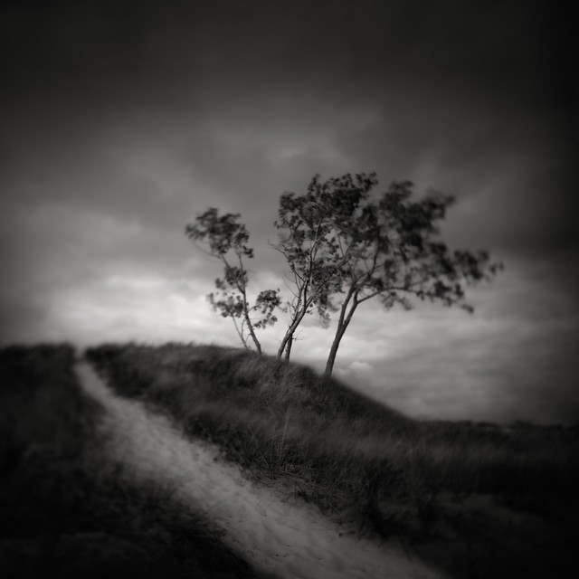 Contemporary art photography, landscape, nature photos