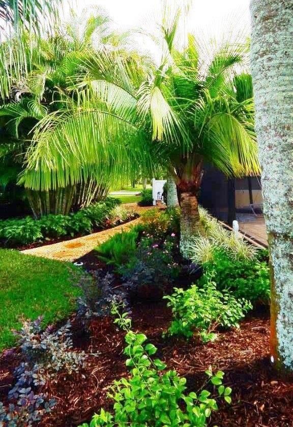 This is an example of a mid-sized tropical side yard partial sun garden in Tampa with natural stone pavers.