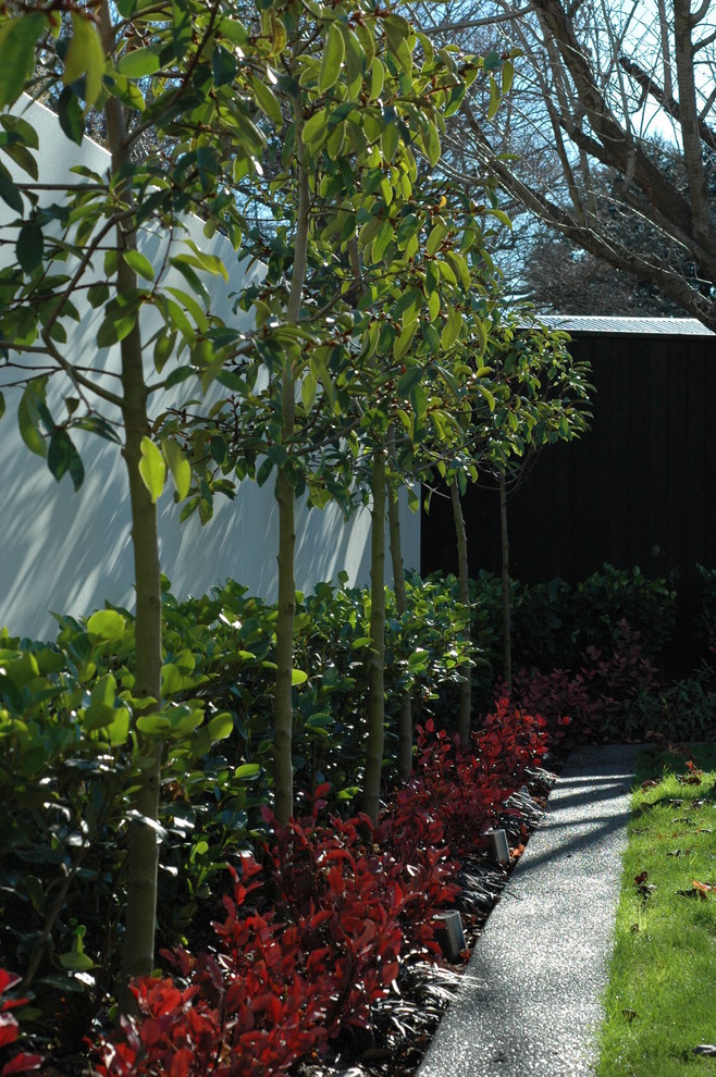 Photo of a contemporary backyard garden in Christchurch.