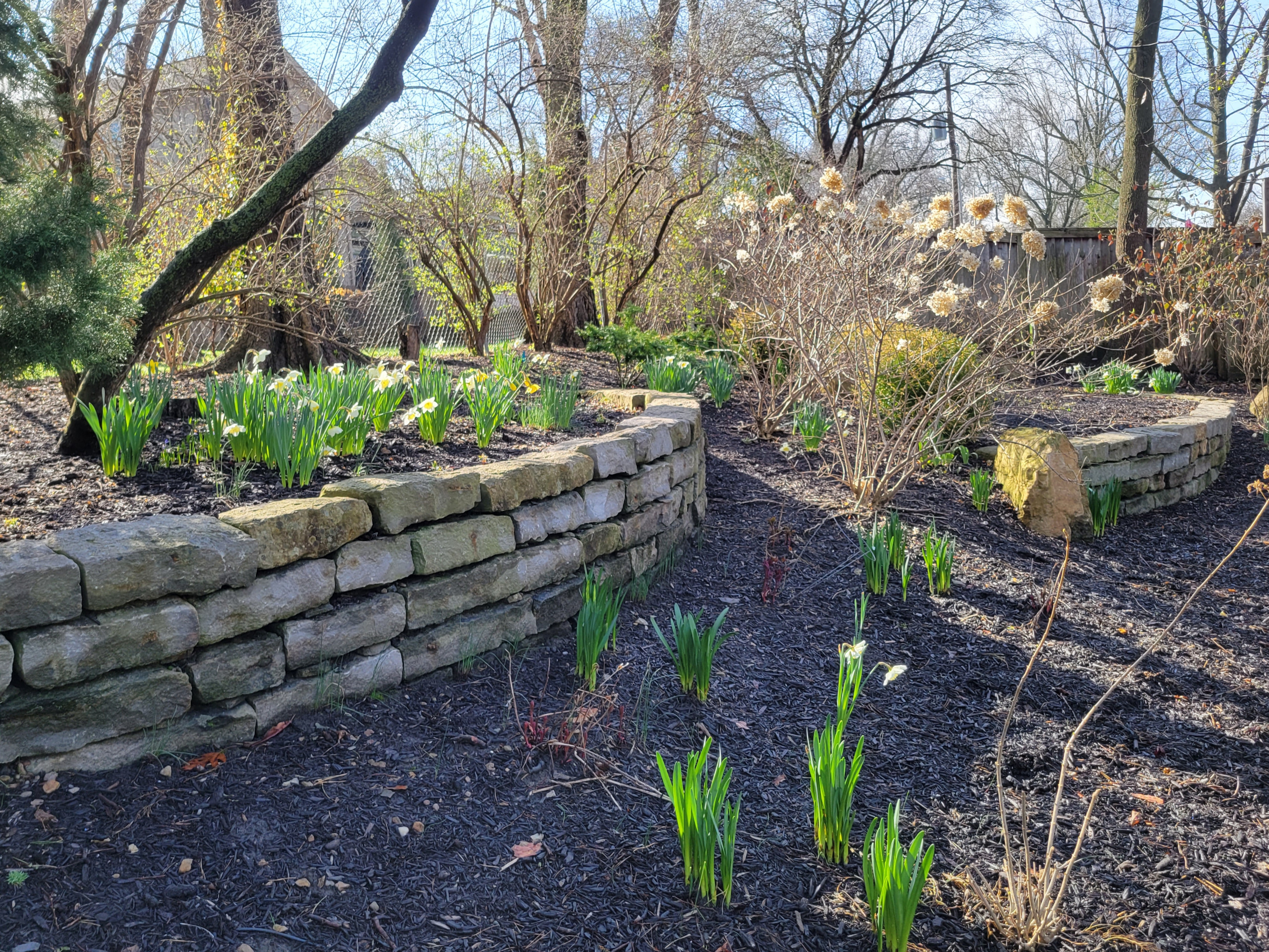 Spring Garden Stroll