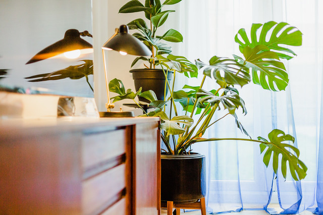 Kate scandinavian-living-room