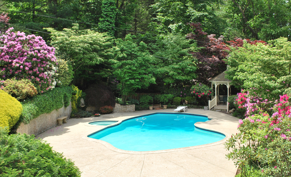Traditional custom-shaped pool in Philadelphia.