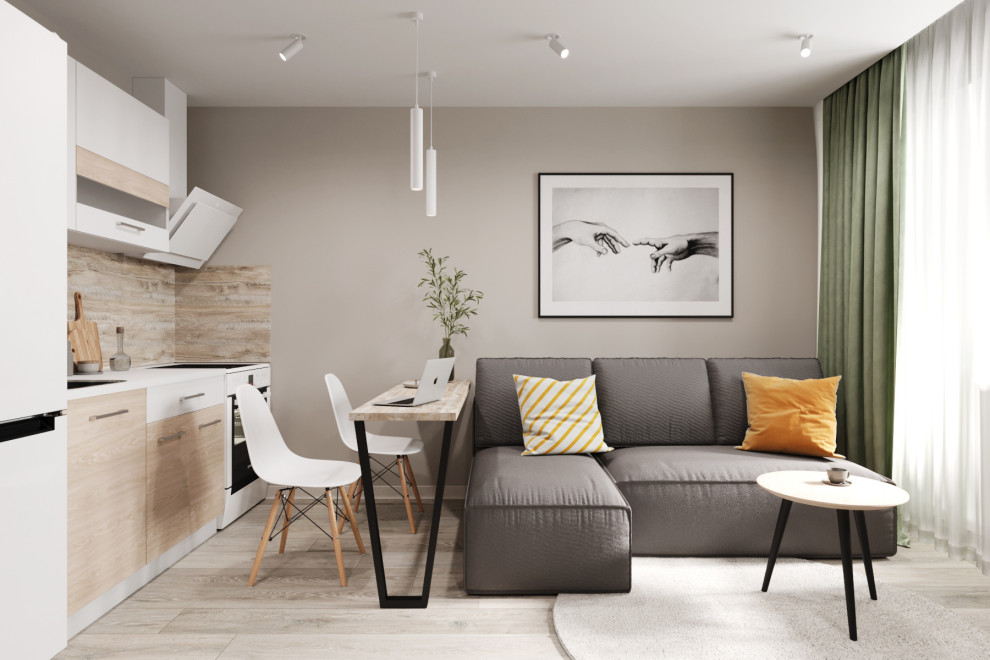 Кухня-гостиная