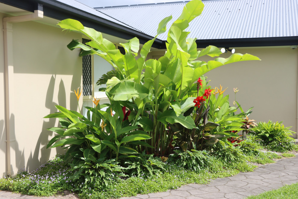 Idee per un piccolo giardino formale tropicale esposto in pieno sole davanti casa in estate con un ingresso o sentiero e pavimentazioni in cemento
