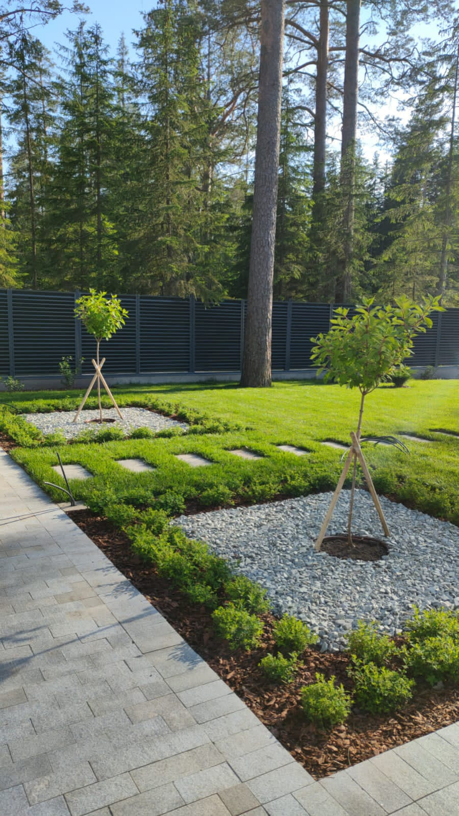 Текущий проект: Репино-Парк