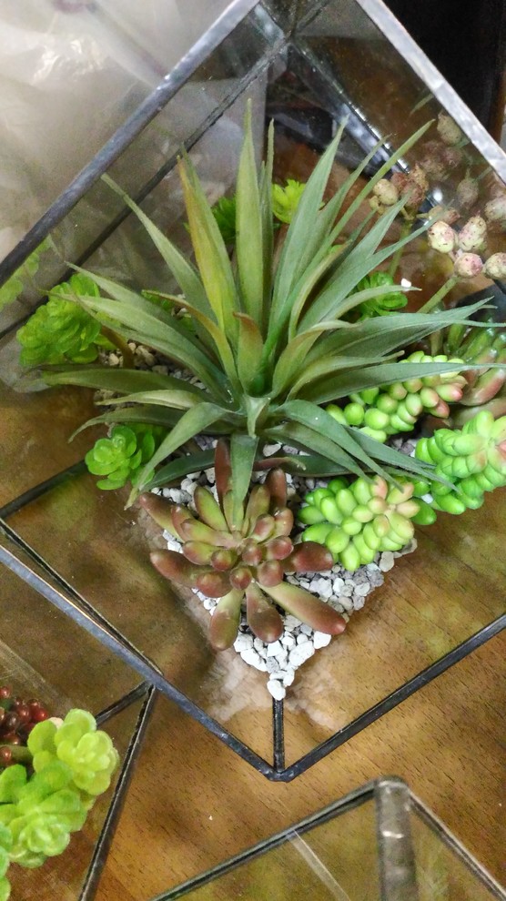 Фитодизайн для частного клиента