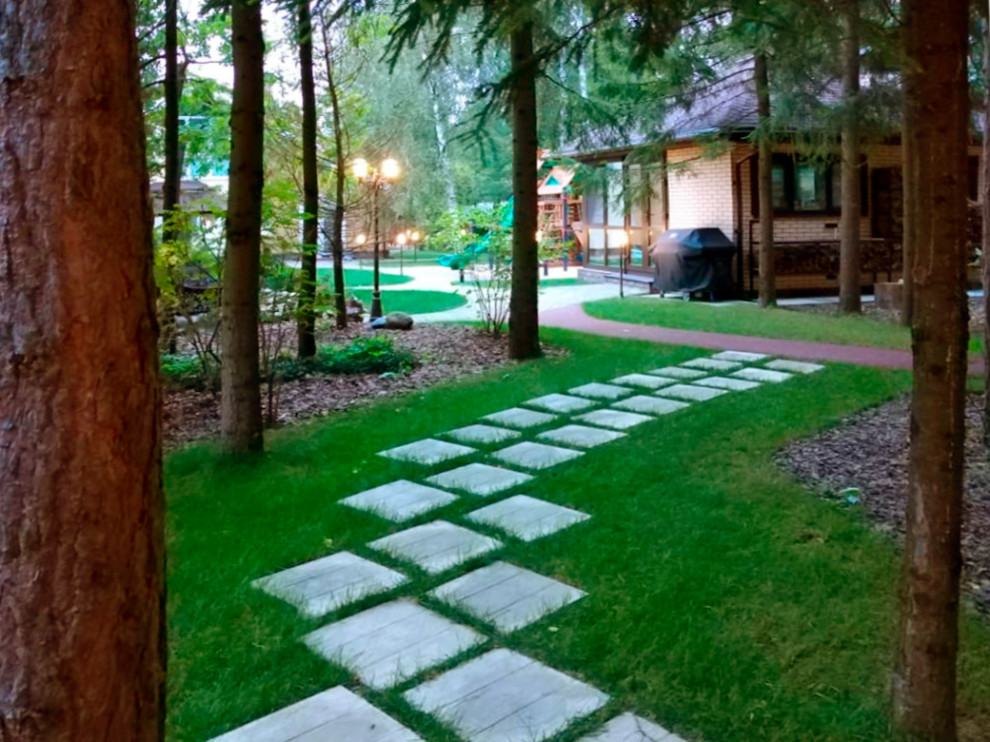 Свежая идея для дизайна: тенистый, весенний участок и сад среднего размера на заднем дворе в стиле лофт с подъездной дорогой, дорожками и мощением тротуарной плиткой - отличное фото интерьера