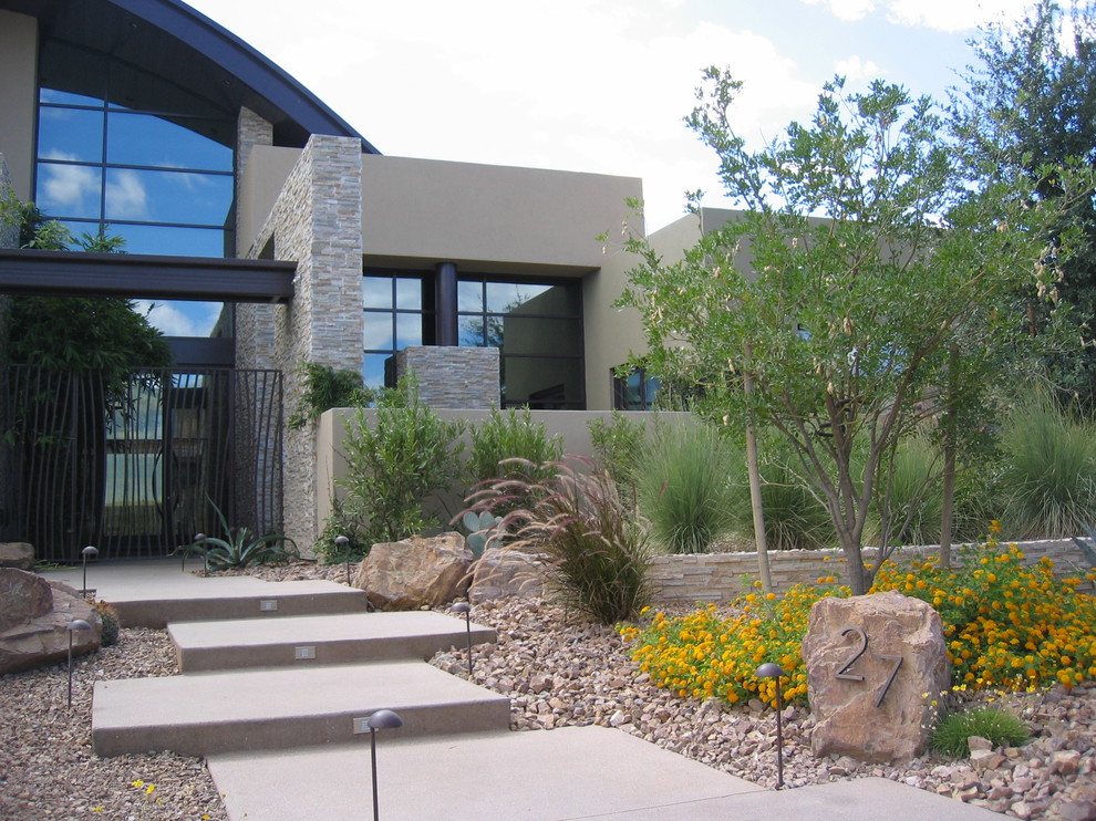 Photo of a modern front yard garden in Las Vegas.