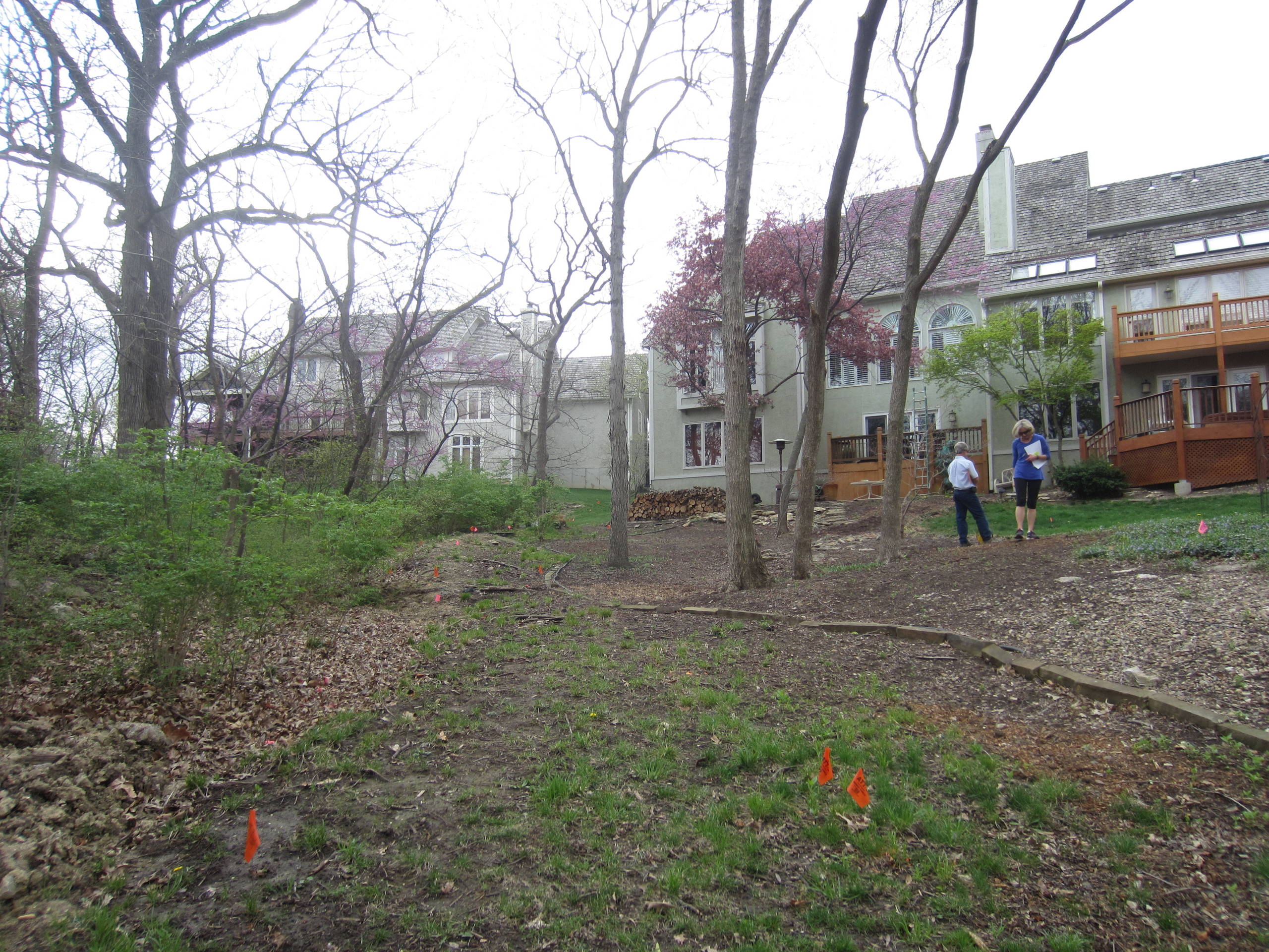 WOODLAND HILLSIDE
