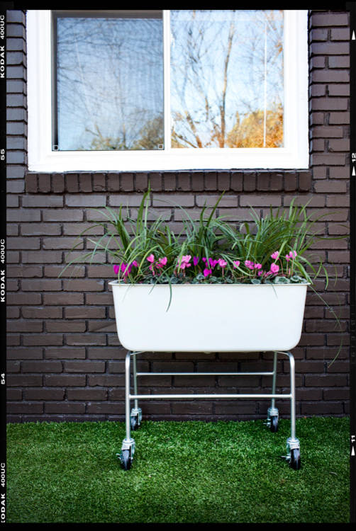 10 Repurposed Containers for a One-of-a-Kind Potted Garden