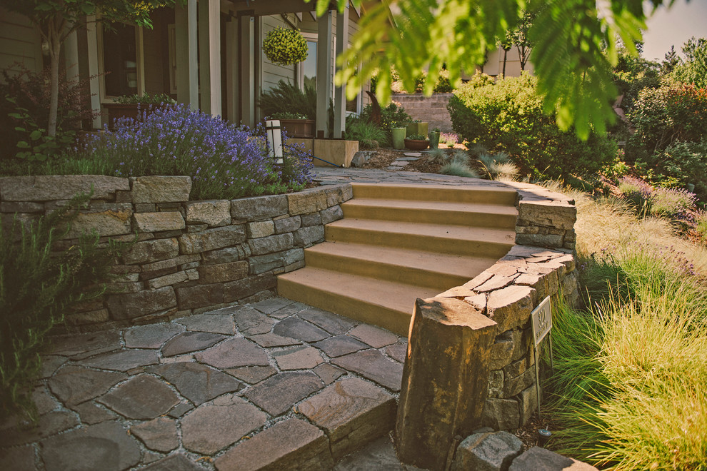 Inspiration for a mid-sized contemporary front yard partial sun xeriscape for summer in Other with a garden path and natural stone pavers.