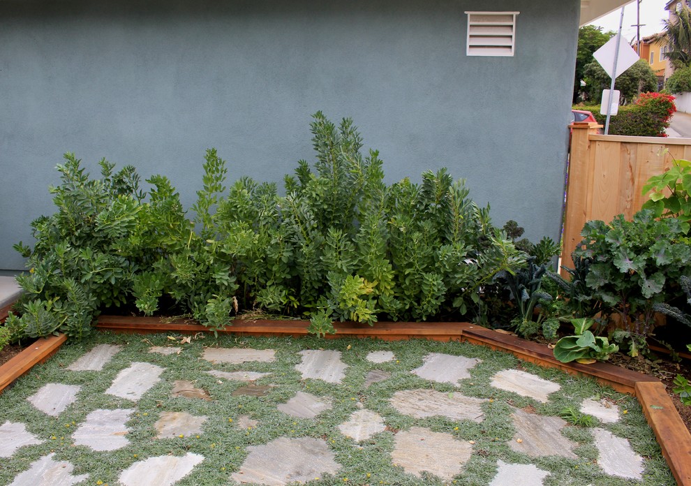 This is an example of a small midcentury backyard patio in San Diego with a vegetable garden, natural stone pavers and no cover.